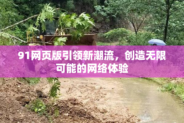91网页版引领新潮流，创造无限可能的网络体验