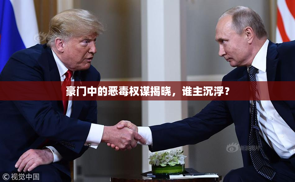 豪门中的恶毒权谋揭晓，谁主沉浮？