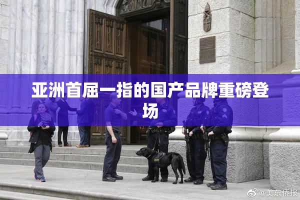 亚洲首屈一指的国产品牌重磅登场