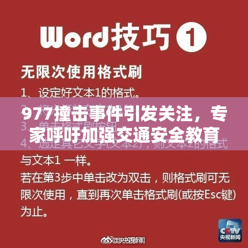 977撞击事件引发关注，专家呼吁加强交通安全教育与管理