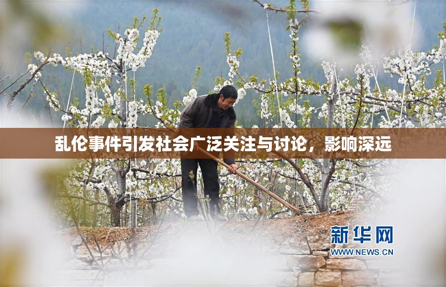 乱伦事件引发社会广泛关注与讨论，影响深远