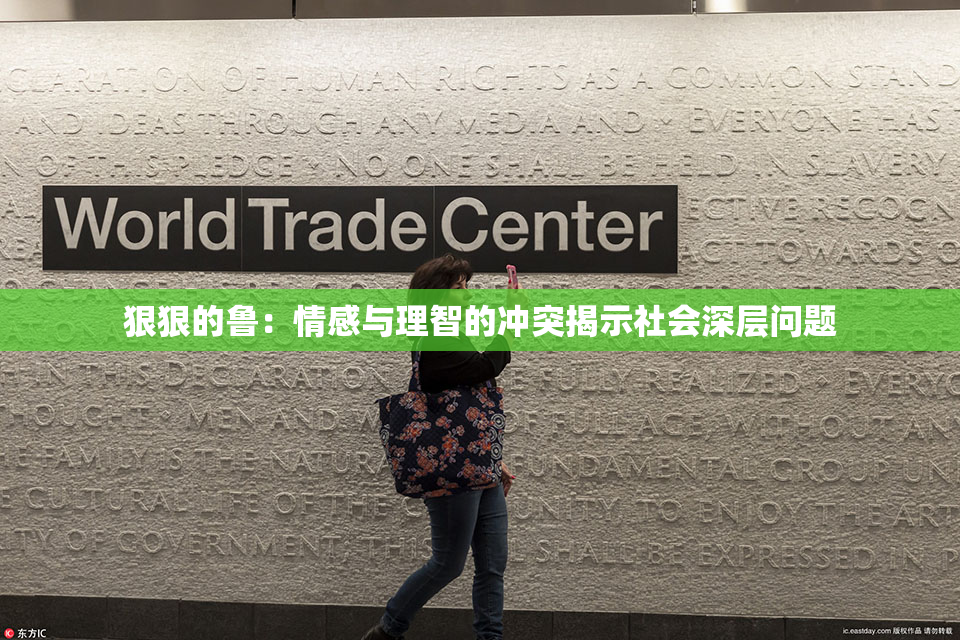 狠狠的鲁：情感与理智的冲突揭示社会深层问题