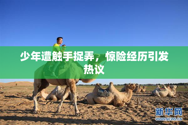 少年遭触手捉弄，惊险经历引发热议