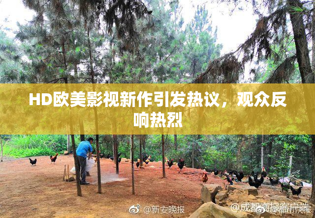 HD欧美影视新作引发热议，观众反响热烈