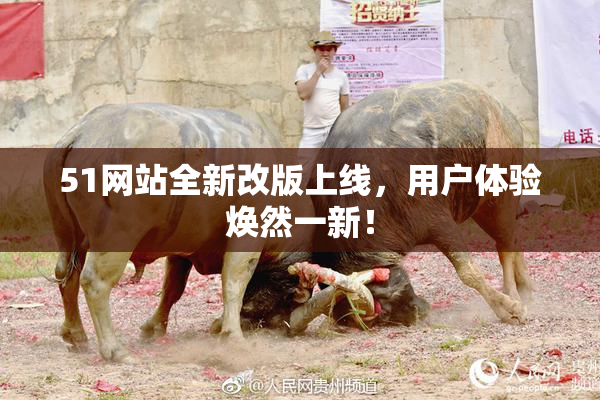 51网站全新改版上线，用户体验焕然一新！
