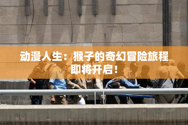 动漫人生：猴子的奇幻冒险旅程即将开启！