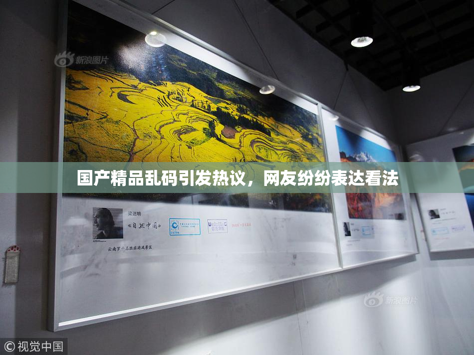 国产精品乱码引发热议，网友纷纷表达看法