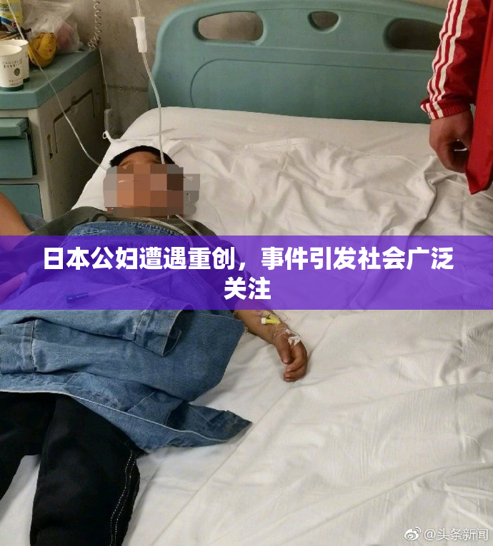 日本公妇遭遇重创，事件引发社会广泛关注