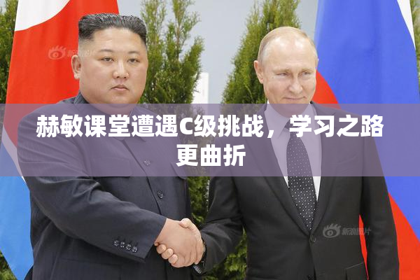 赫敏课堂遭遇C级挑战，学习之路更曲折