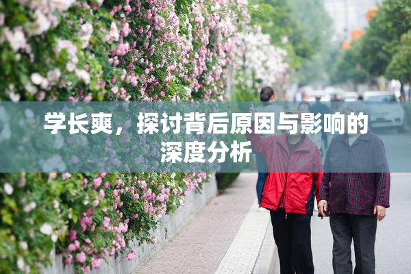 学长爽，探讨背后原因与影响的深度分析