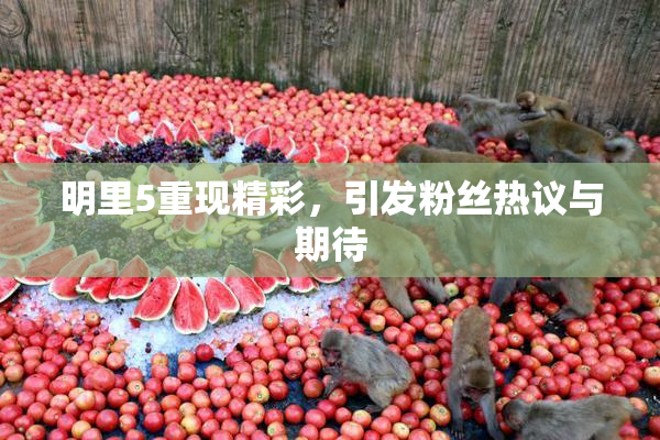 明里5重现精彩，引发粉丝热议与期待