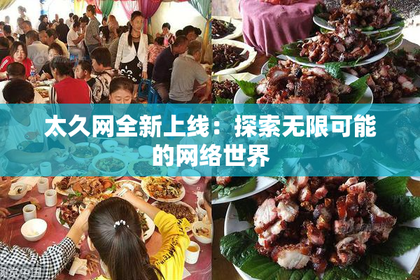 太久网全新上线：探索无限可能的网络世界