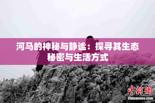 河马的神秘与静谧：探寻其生态秘密与生活方式
