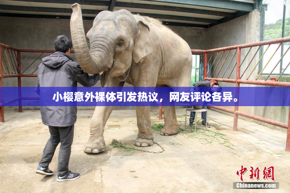 小樱意外裸体引发热议，网友评论各异。