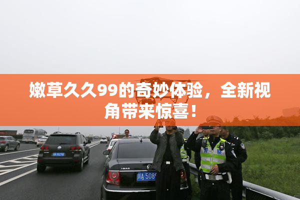 嫩草久久99的奇妙体验，全新视角带来惊喜！