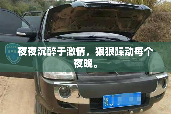 夜夜沉醉于激情，狠狠躁动每个夜晚。