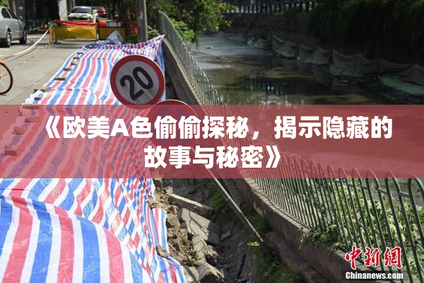 《欧美A色偷偷探秘，揭示隐藏的故事与秘密》