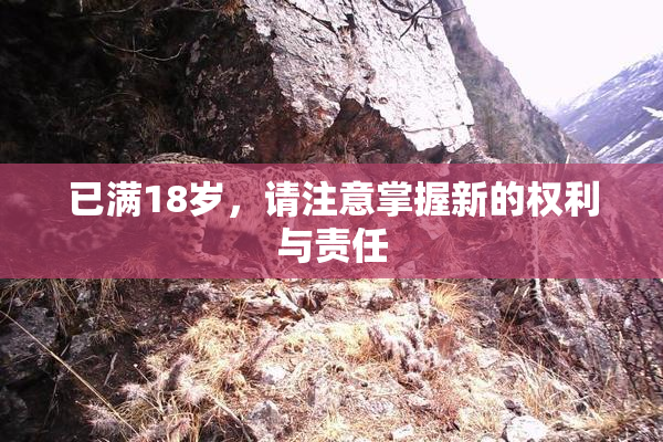 已满18岁，请注意掌握新的权利与责任