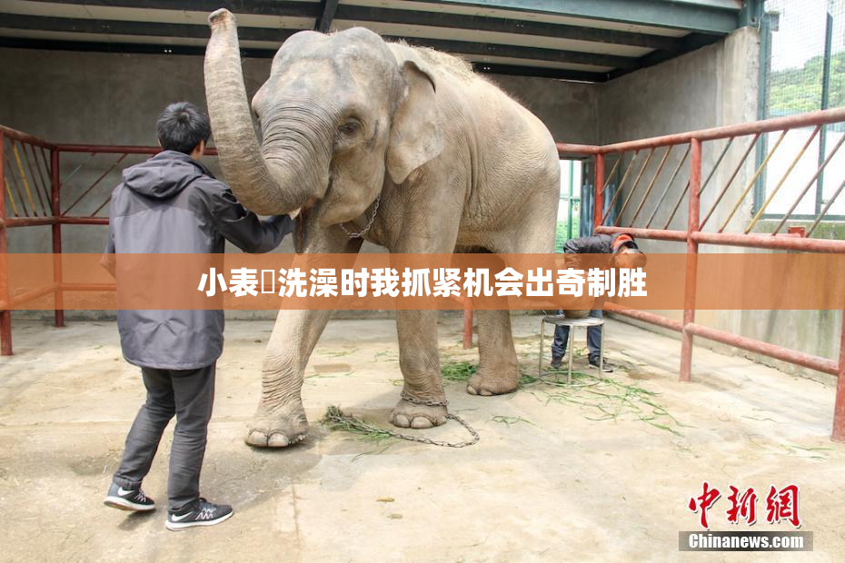 小表妺洗澡时我抓紧机会出奇制胜