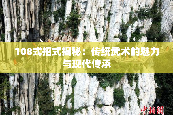 108式招式揭秘：传统武术的魅力与现代传承