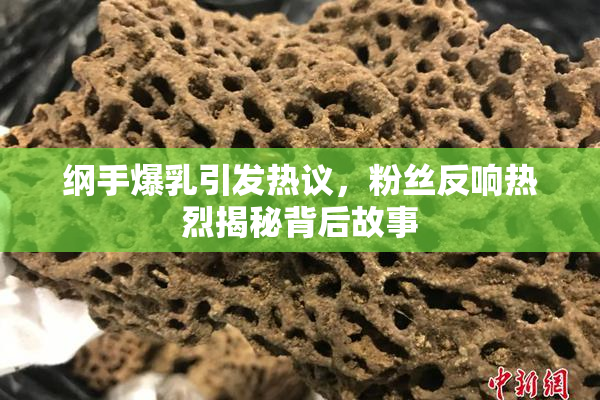 纲手爆乳引发热议，粉丝反响热烈揭秘背后故事