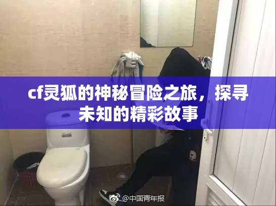 cf灵狐的神秘冒险之旅，探寻未知的精彩故事