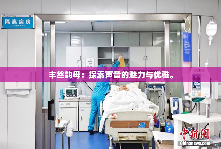 丰丝韵母：探索声音的魅力与优雅。