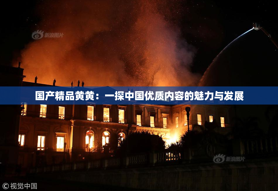 国产精品黄黄：一探中国优质内容的魅力与发展