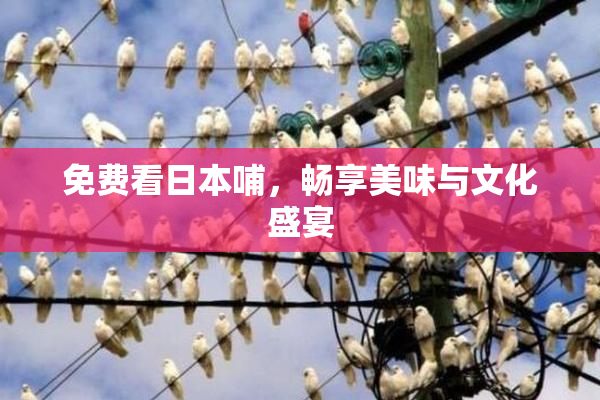 免费看日本哺，畅享美味与文化盛宴