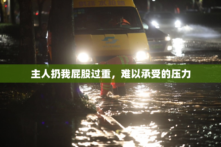 主人扔我屁股过重，难以承受的压力
