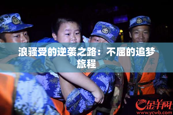 浪骚受的逆袭之路：不屈的追梦旅程