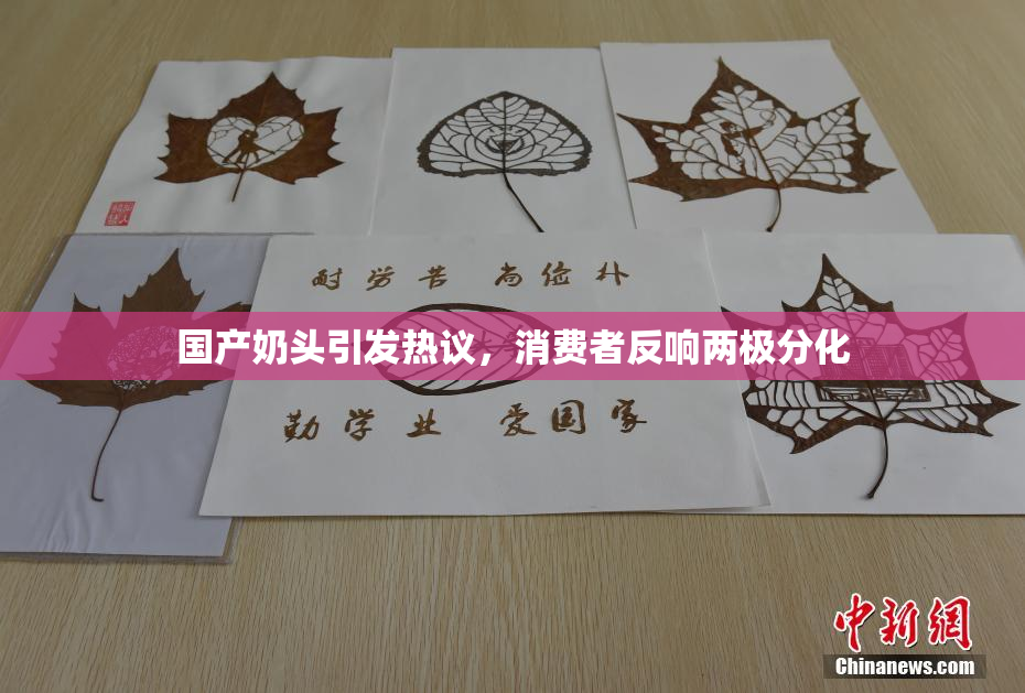 国产奶头引发热议，消费者反响两极分化