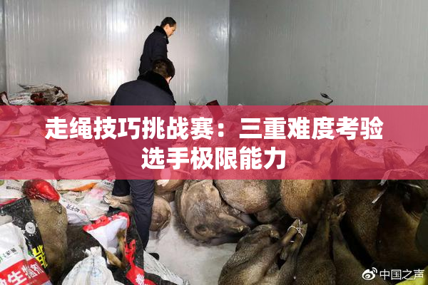 走绳技巧挑战赛：三重难度考验选手极限能力