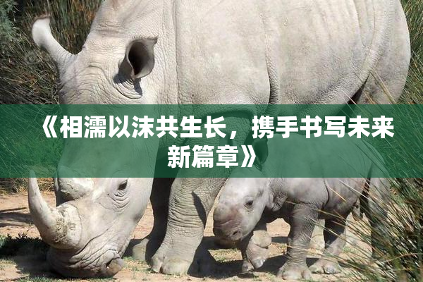 《相濡以沫共生长，携手书写未来新篇章》