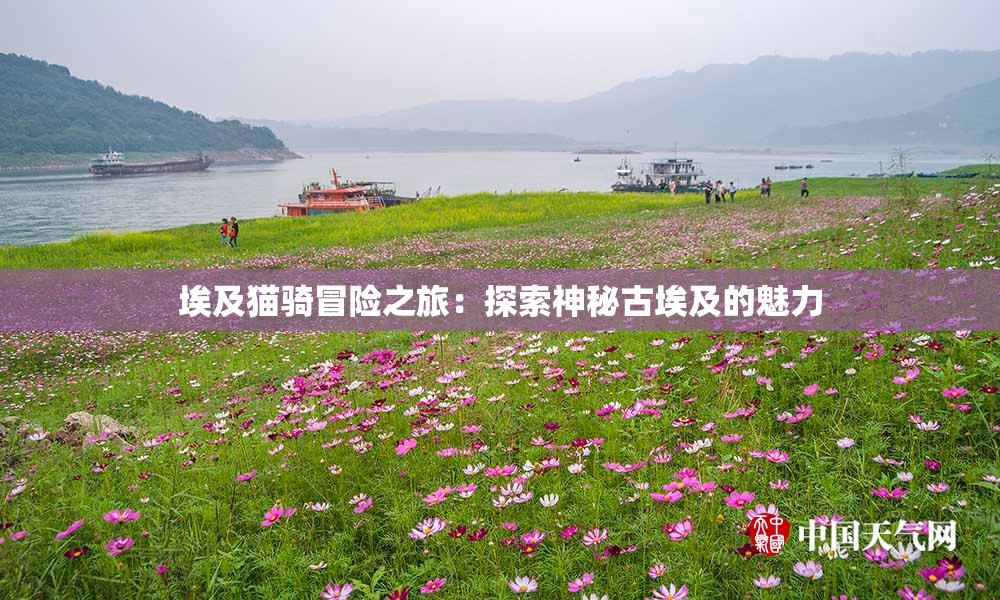 埃及猫骑冒险之旅：探索神秘古埃及的魅力