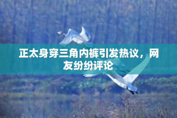 正太身穿三角内裤引发热议，网友纷纷评论