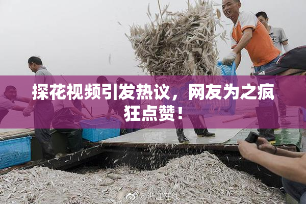 探花视频引发热议，网友为之疯狂点赞！