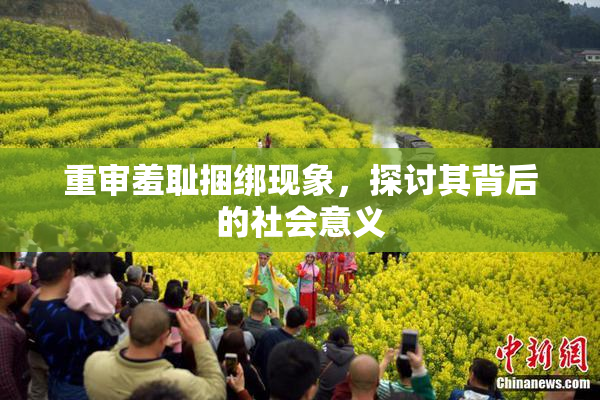 重审羞耻捆绑现象，探讨其背后的社会意义