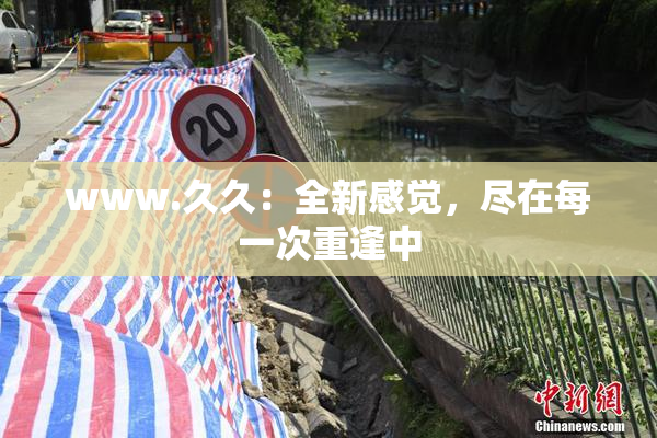 www.久久：全新感觉，尽在每一次重逢中