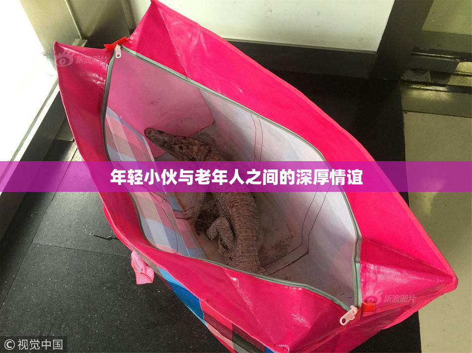 年轻小伙与老年人之间的深厚情谊