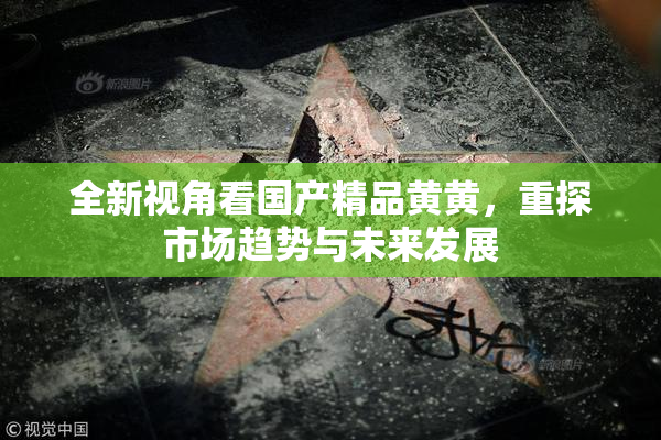 全新视角看国产精品黄黄，重探市场趋势与未来发展