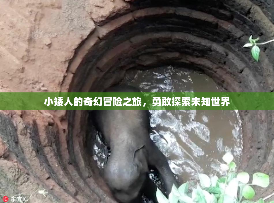 小矮人的奇幻冒险之旅，勇敢探索未知世界