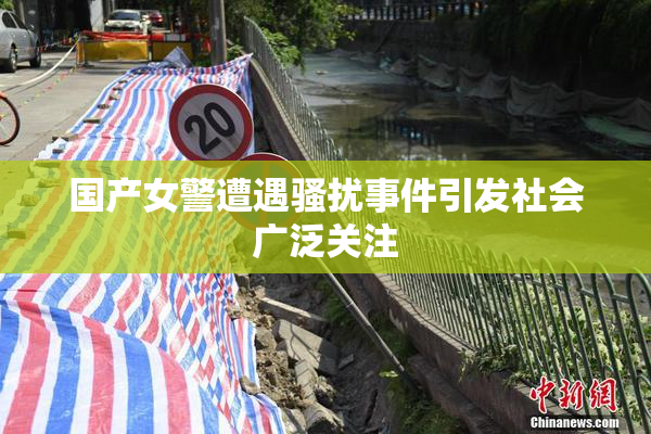 国产女警遭遇骚扰事件引发社会广泛关注