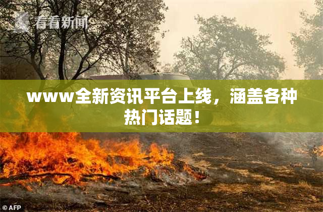 www全新资讯平台上线，涵盖各种热门话题！
