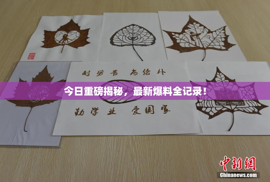 今日重磅揭秘，最新爆料全记录！