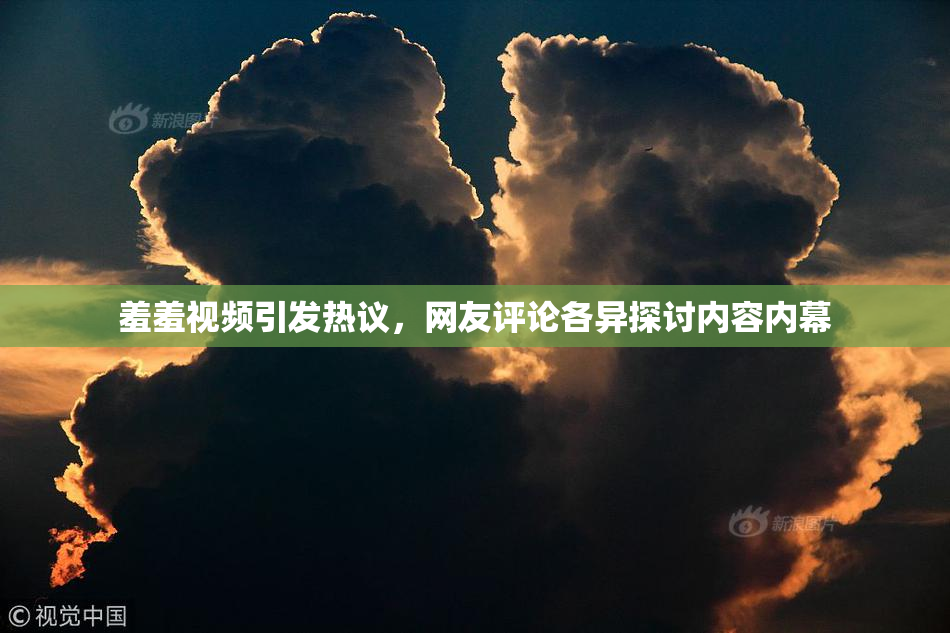羞羞视频引发热议，网友评论各异探讨内容内幕