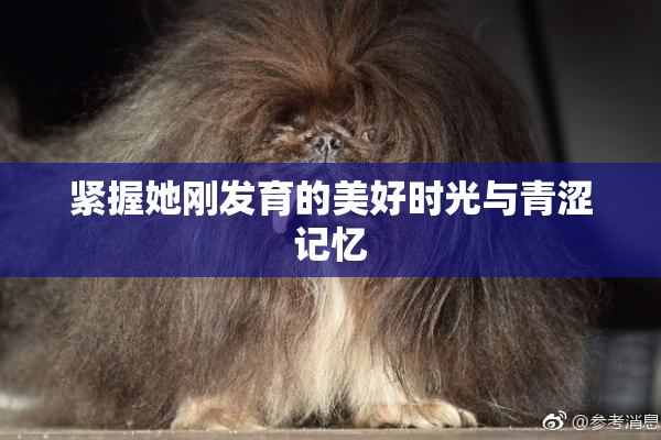 紧握她刚发育的美好时光与青涩记忆