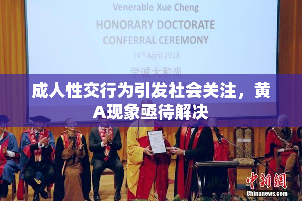 成人性交行为引发社会关注，黄A现象亟待解决