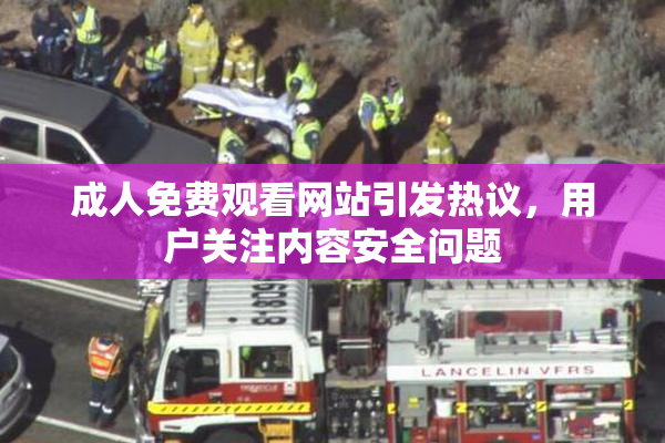 成人免费观看网站引发热议，用户关注内容安全问题