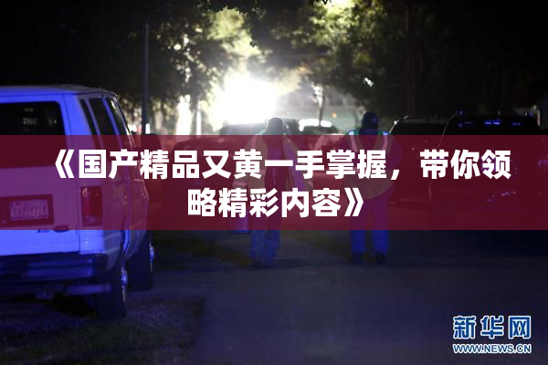 《国产精品又黄一手掌握，带你领略精彩内容》
